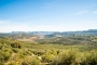 Undulating inspiring landscape